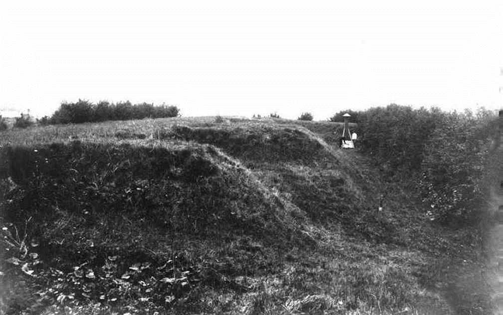 Dines Bogø