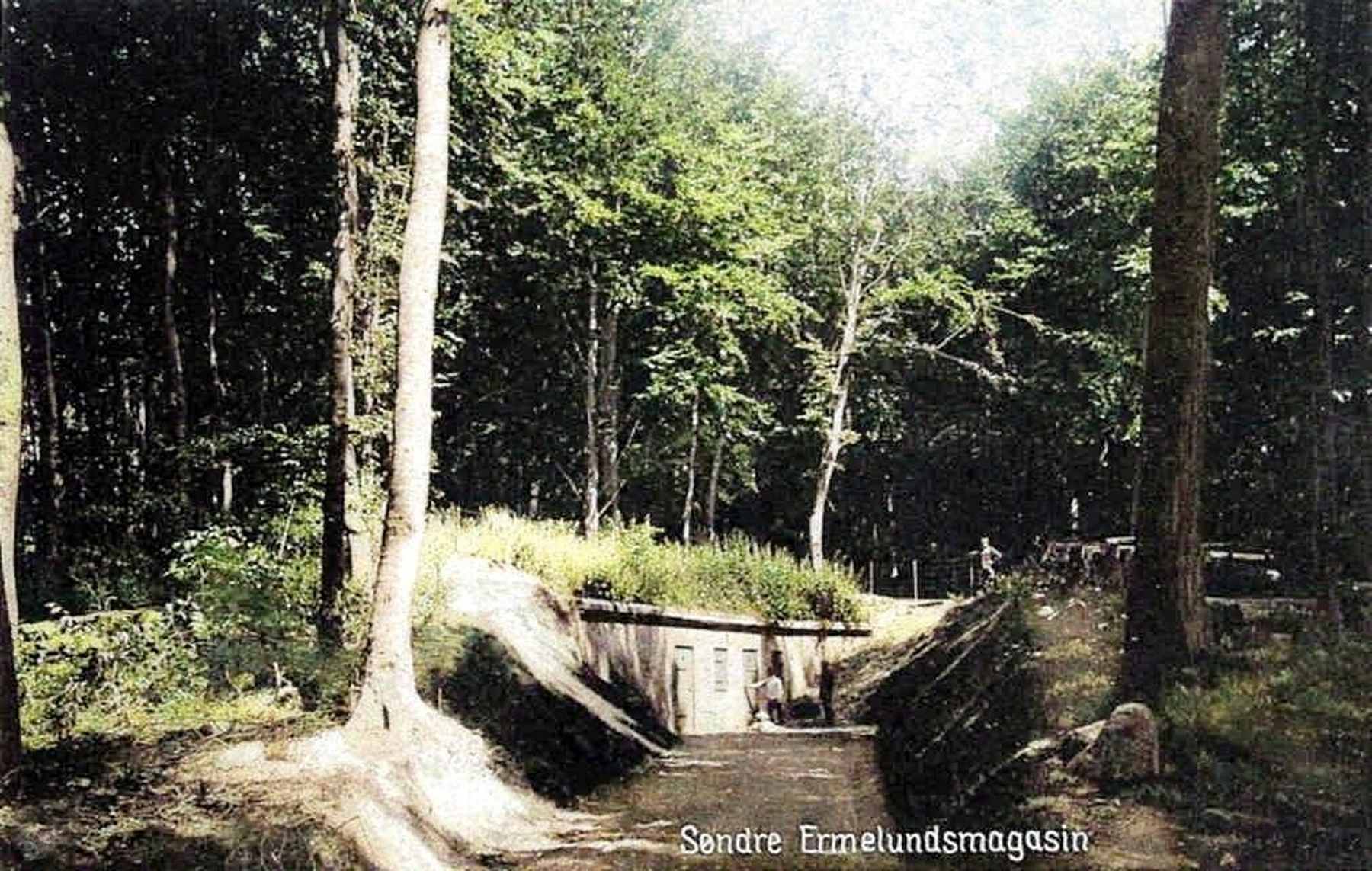 Dines Bogø
