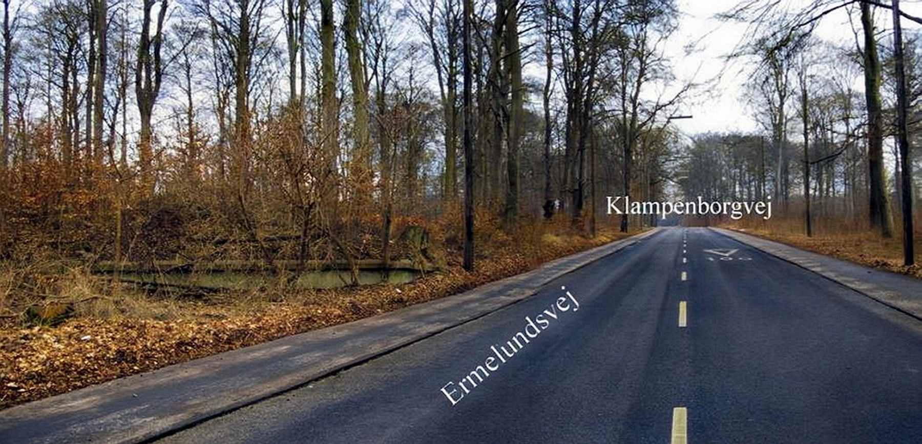 Dines Bogø